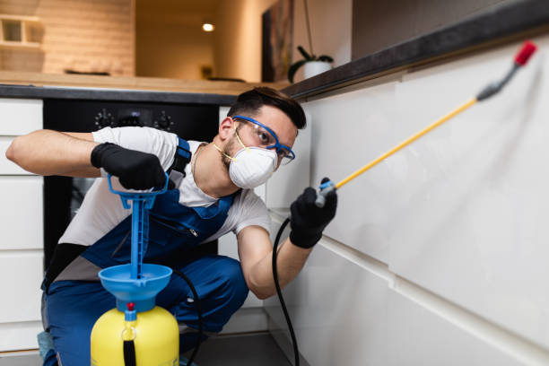 Wasp Removal Services in Herrin, IL